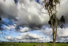 开云APP-王朝暗涌：美国男篮奥运卫冕路上的荆棘与荣光