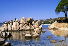 开云体育-龙舌兰风暴席卷亚洲：墨西哥黑马问鼎全明星赛，闪耀舞台铸就48小时奇迹！