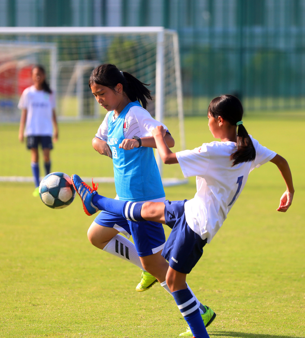 未来女子足球比赛有望绽放新的光彩