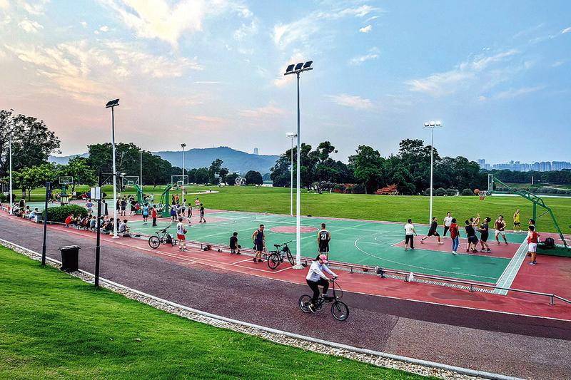 纽约篮球公园风景如画，吸引球迷观赏