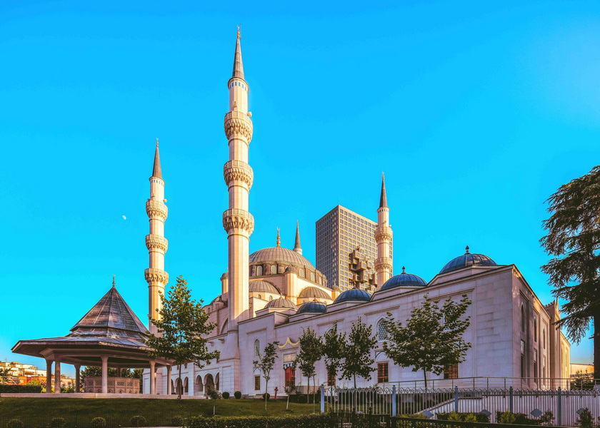 塞尔维亚前锋破门，带领球队战胜波黑的简单介绍