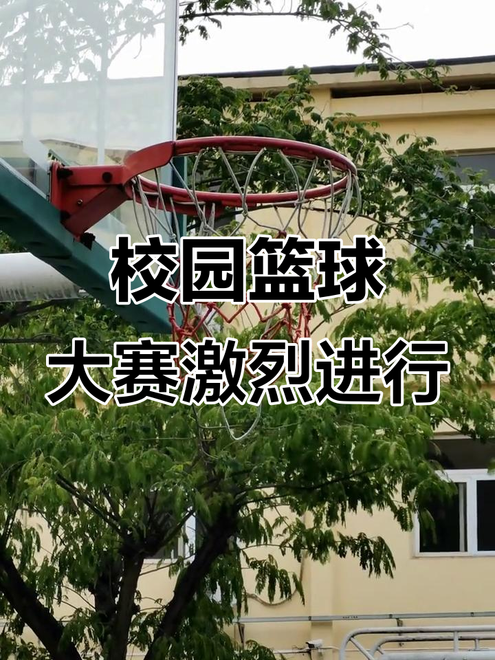 精彩瞬间不容错过,一场篮球盛事震撼举行 精彩瞬间不容错过,一场篮球盛事震撼举行