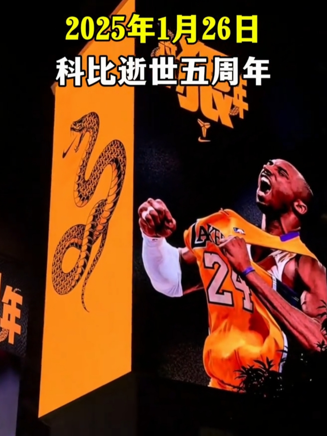 巴西篮球队传奇巨星重出江湖，决战南美洲联赛巅峰