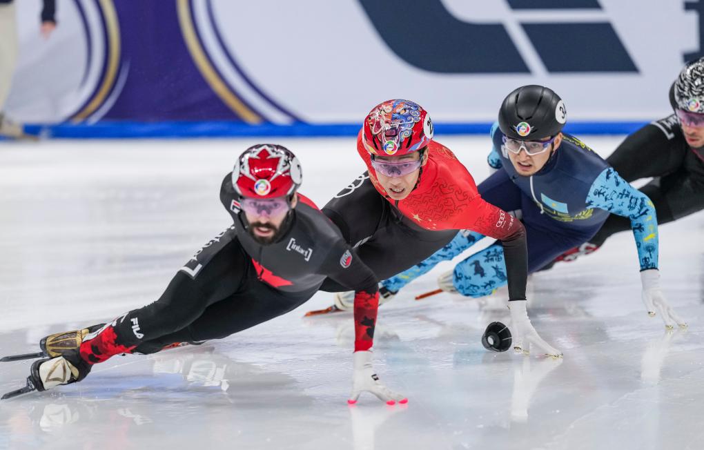 意大利男子射击队突破难关，斩获金牌